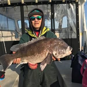 Meet your Posher, Thomas